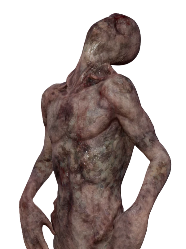 Character 5